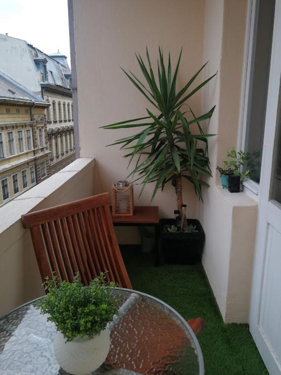 Centrum11 Pécs Exterior foto